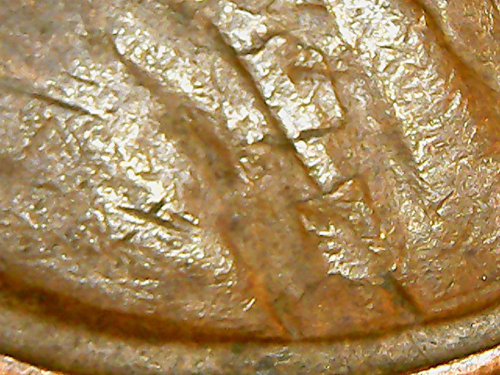 1950-D-LWC-Long-Lam---Top-Of-Head-To-Bottom-Of-Bust