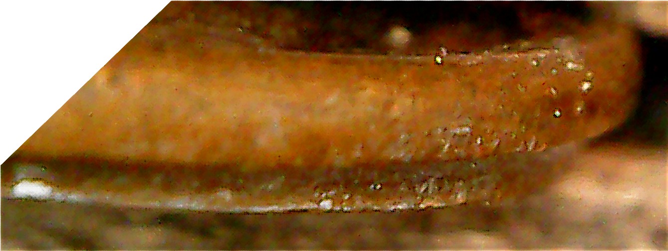 1970-LMC-Stiff-Collar-Error-Aka-Partial-Collar-Aka-Railroad-Rim