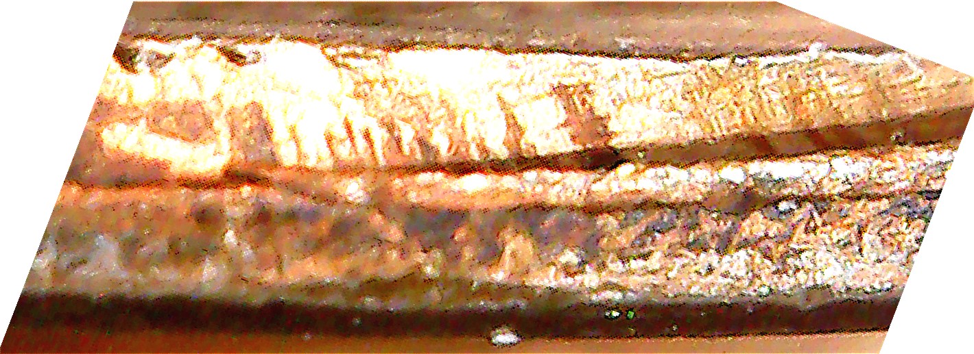 2007-P-Dime-Check-My-Attribution:-Reversed-Partial-Collar?-Inverted-Dies?