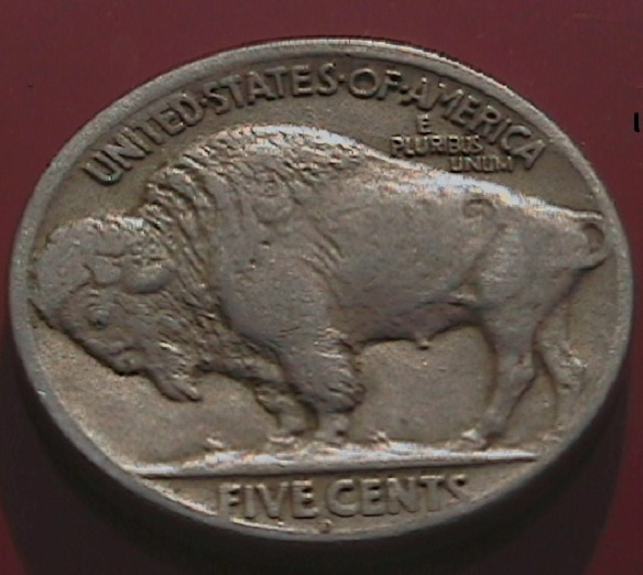 1920-D-Buffalo-Cherry-Picked