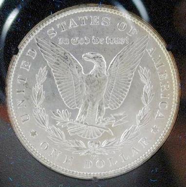 1883-CC-Morgan.-My-First-CC-Coin.