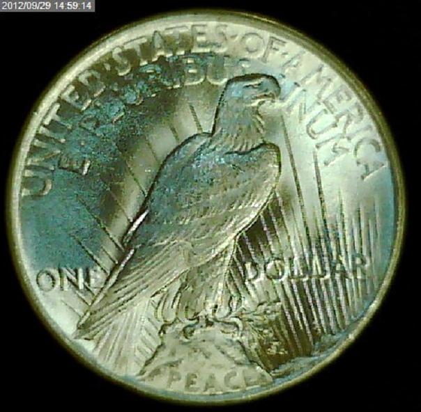 1925-Peace-Dollar:-Grade?
