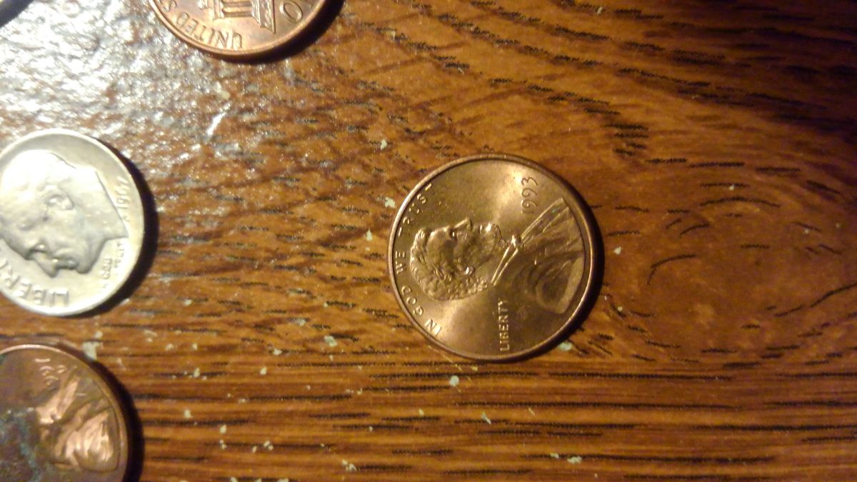 1993-Penny-Error-Question