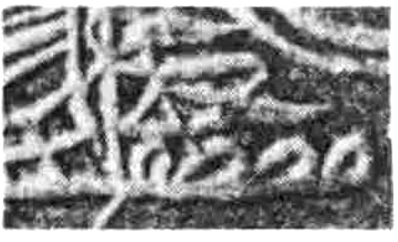 Four-Unidentified-Islamic-Coins--ID?