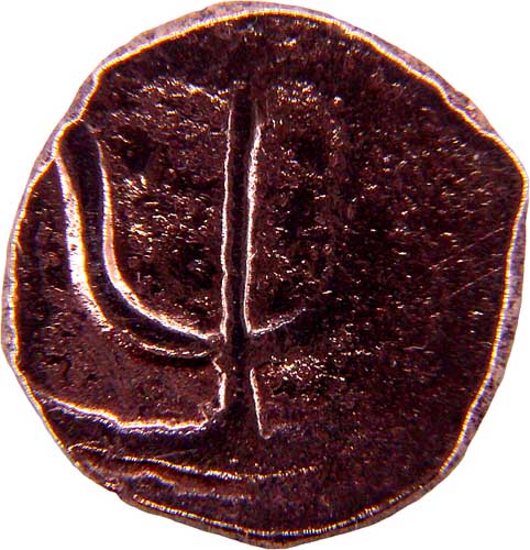 Indian-Coin?-3