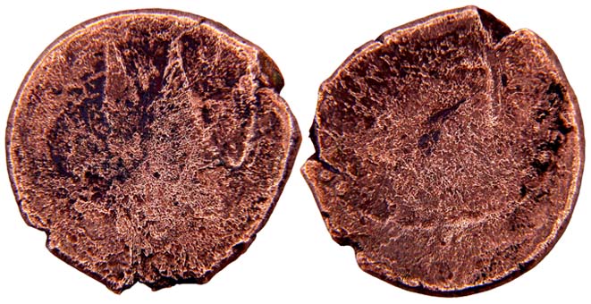 Arabic-Coin?