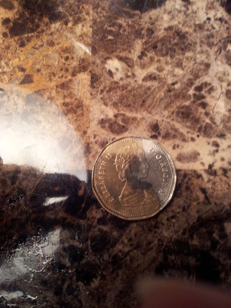 Anyone-Know-What-I-Got-Here?