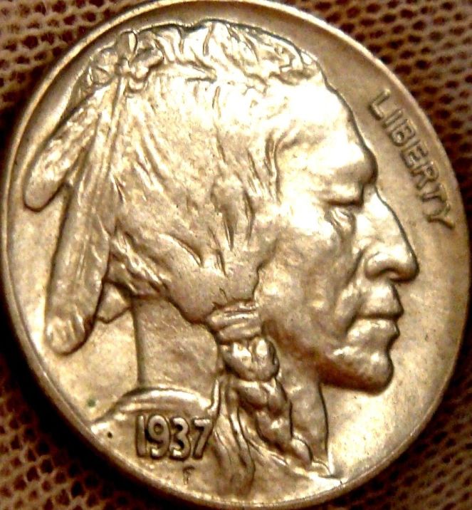 1937-D/Horizontal-D-BUffalo-In-BU