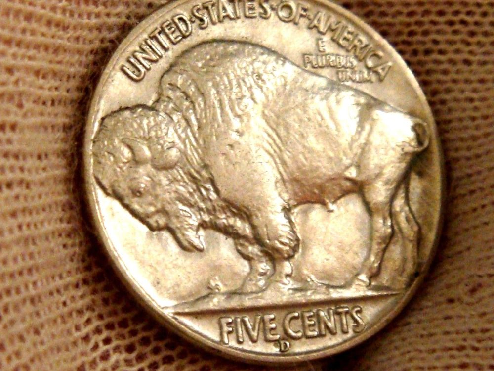 1937-D/Horizontal-D-BUffalo-In-BU