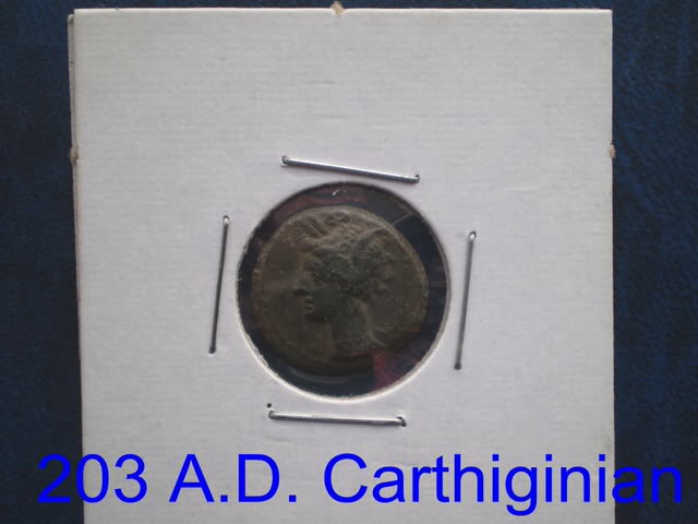 Did-The-Carthaginians-Set-Foot-In-Nova-Scotia?
