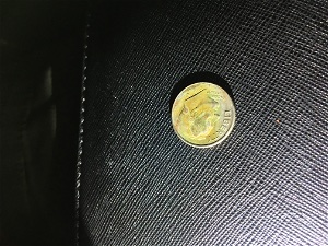 Into-W/-Dime-In-Question