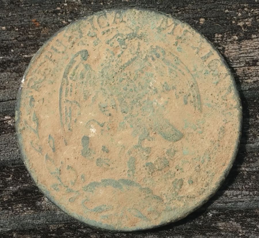 1829-8-Reale-Un-Real...-Is-This-A-Common-Fake?