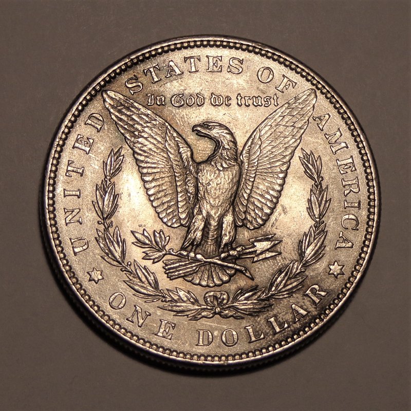 Please,-Need-Grading-For-This-Morgan-Dollar-1886