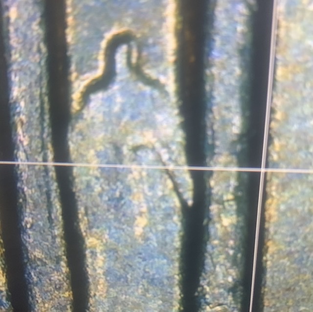 Can-Anyone-Tell-Me-What-This-Is?