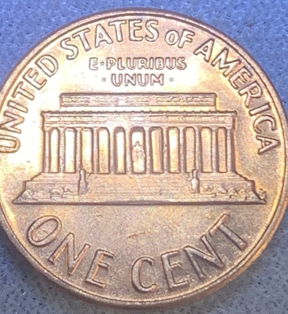 Can-Anyone-Tell-Me-What-This-Is?