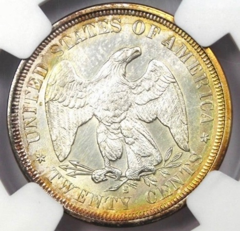 1875-S-20-Cent-Annealing-Issue?
