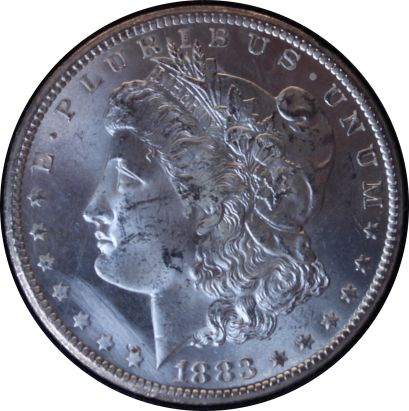 1883-CC-GSA-Question-Regarding-Die-Scratches-Or-Polishing