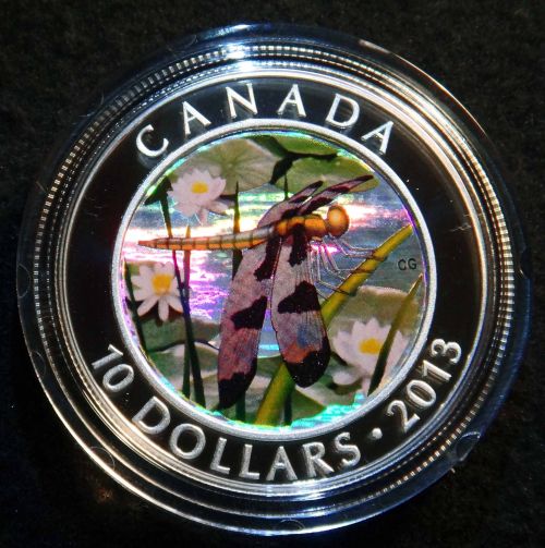 Dragonfly-Hologram-Next-Hot-Item?