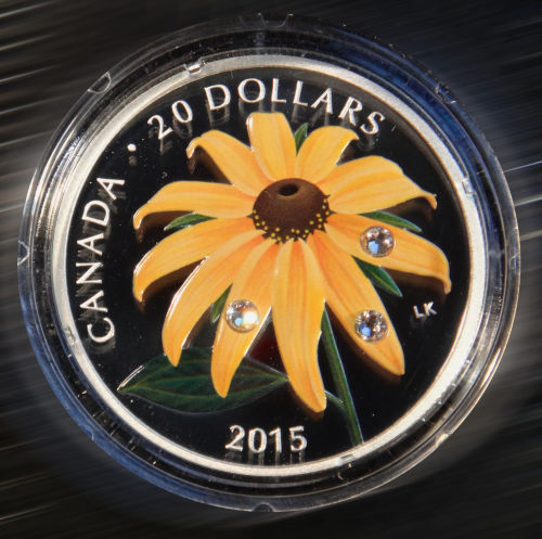 Desperately-Seeking-For-Beautiful-Black-Eyed-Susan.....