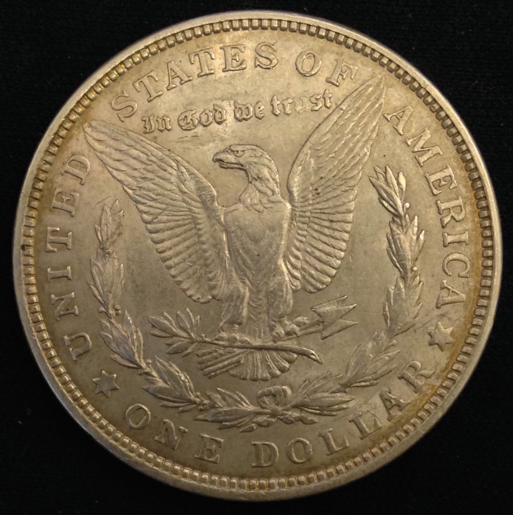 1921-Morgans-&-1907-Liberty-Half-Eagle