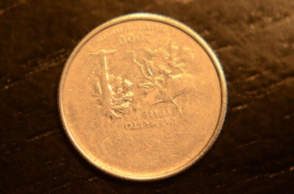 SC-State-Quarter-Grease-Strike-Or-Worn?