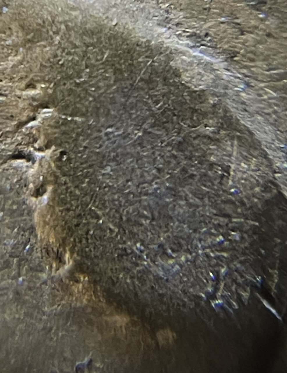 Is-This-PMD-On-An-1864-2-Cent?
