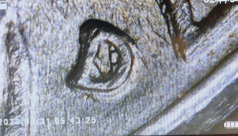 1997---D-Nickel-Error?-Newbie-Here.