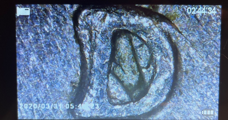1997---D-Nickel-Error?-Newbie-Here.