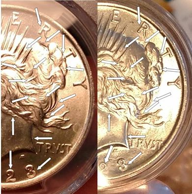 PCGS-Has-Damaged-My-Coin