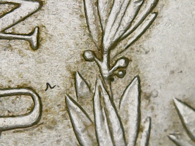 1896-Morgan-Dollar-No-Mint-Mark