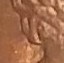 1991-And-1995-Lincoln-Penny-Wother-An-Extra-Hair-Curl