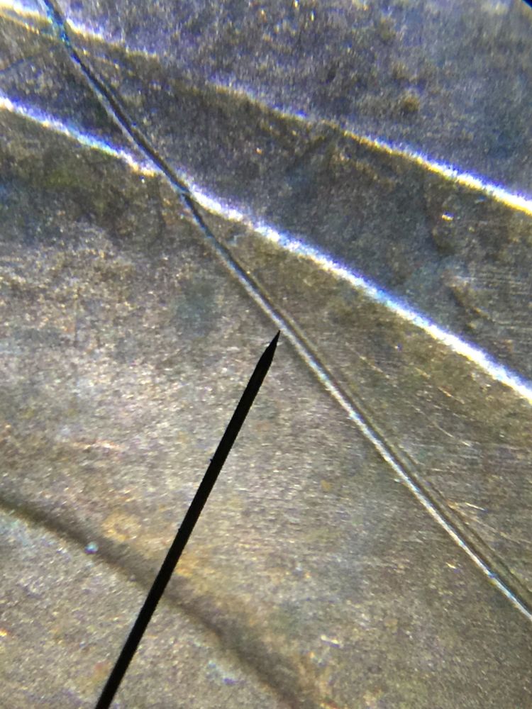 Struck-Through-Thread-Possibly-?-1994lmc