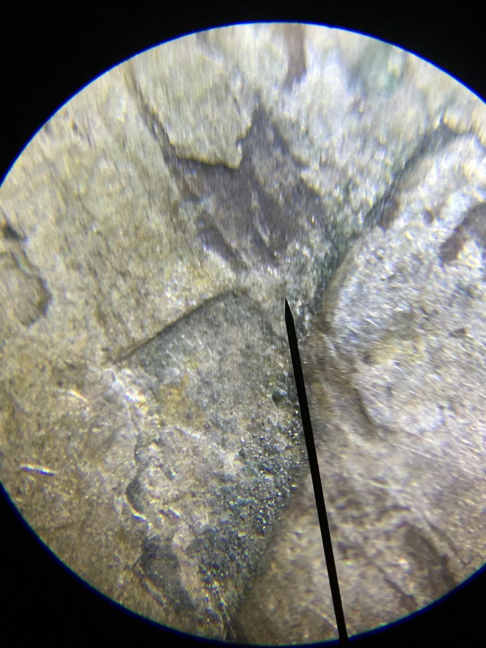 1945-Jefferson-Nickel--Lamination?
