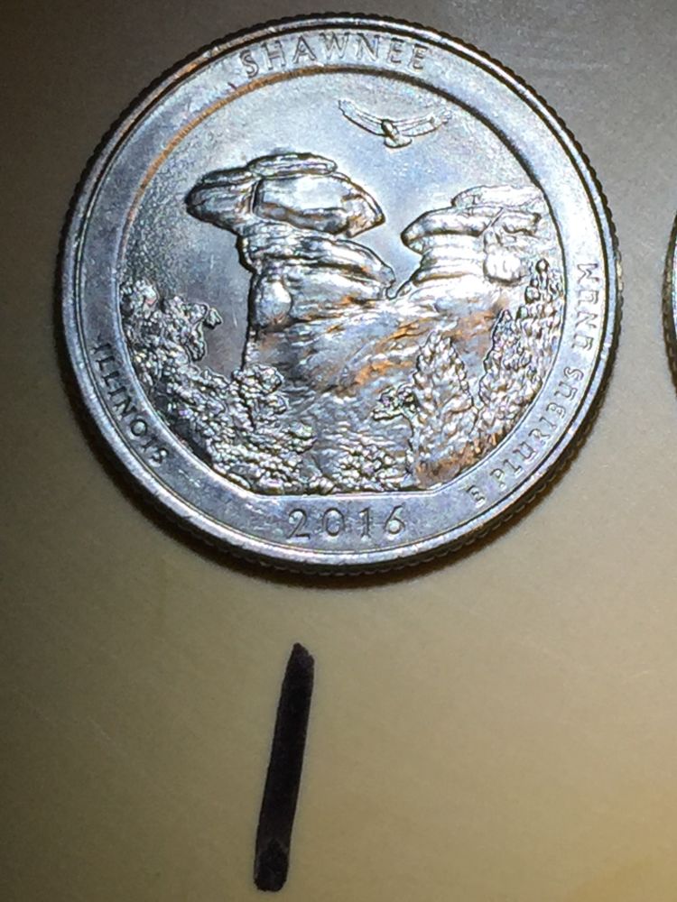 4--Shawnee-Quarters-All-Different-Idb-None-I-Found-On-Coc