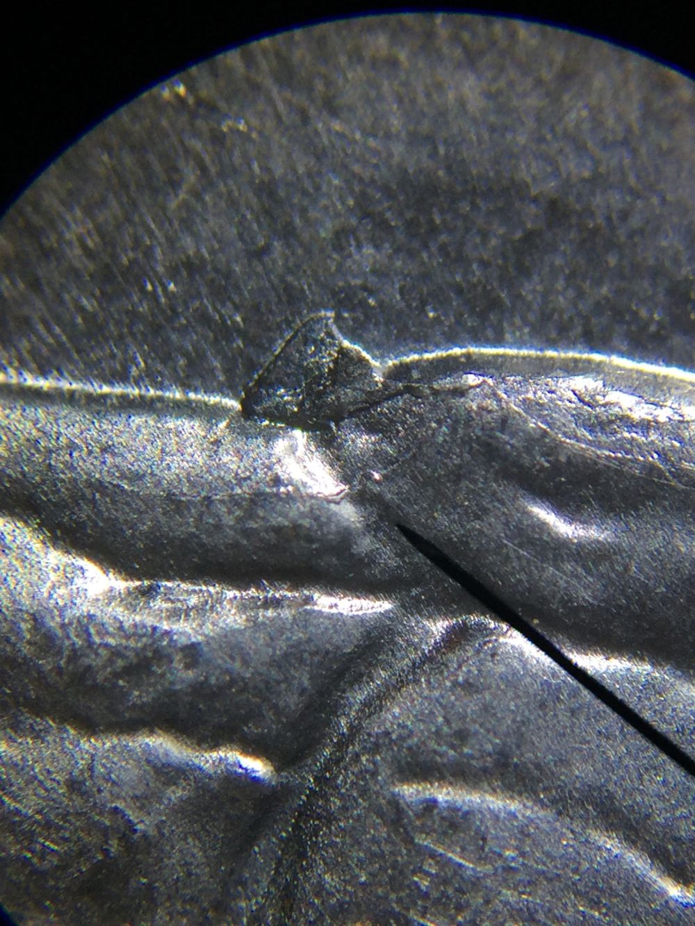 4--Shawnee-Quarters-All-Different-Idb-None-I-Found-On-Coc
