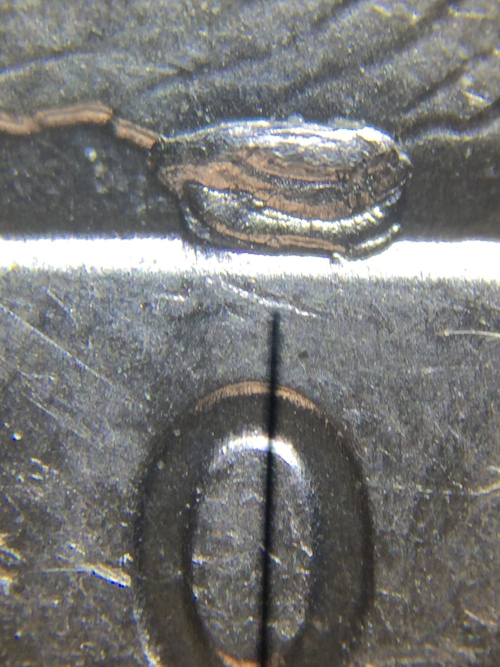 2-2015-South-Carolina-State-Quarters-Same-Issue-.