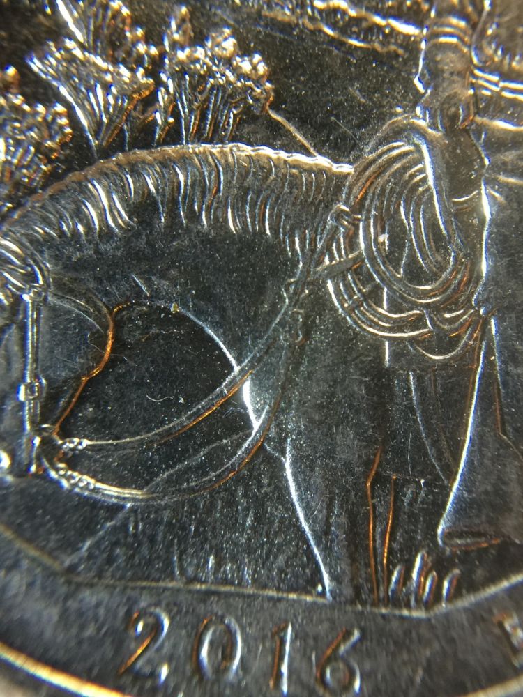 2016-Theodore-Roosevelt-Quarter