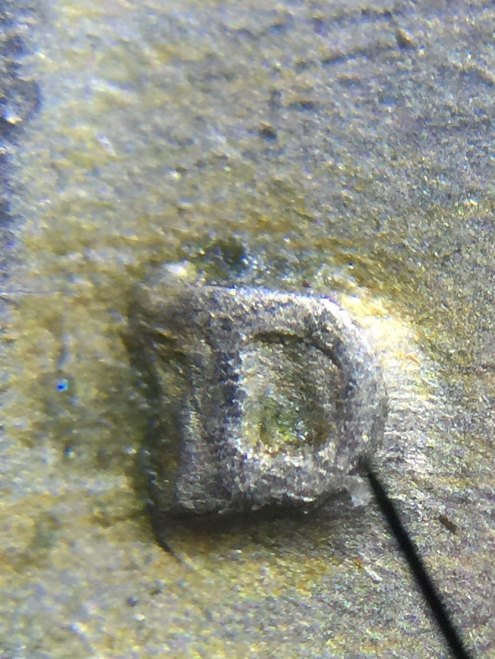 My-First-Bar-Nickel-1960