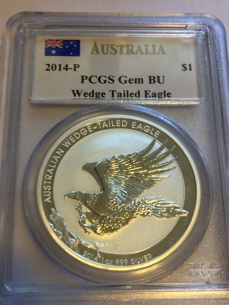 Wedge-Tailed-Eagle-Dollar-Questions.