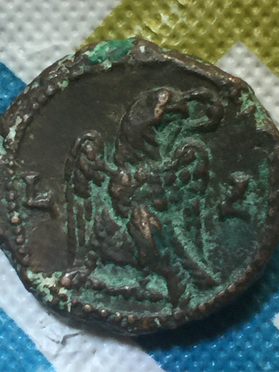 Real-Or-Fake-Greek/-Roman-Coins-?