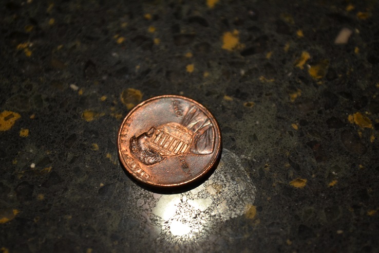 1993-Error-Stamped-Penny...