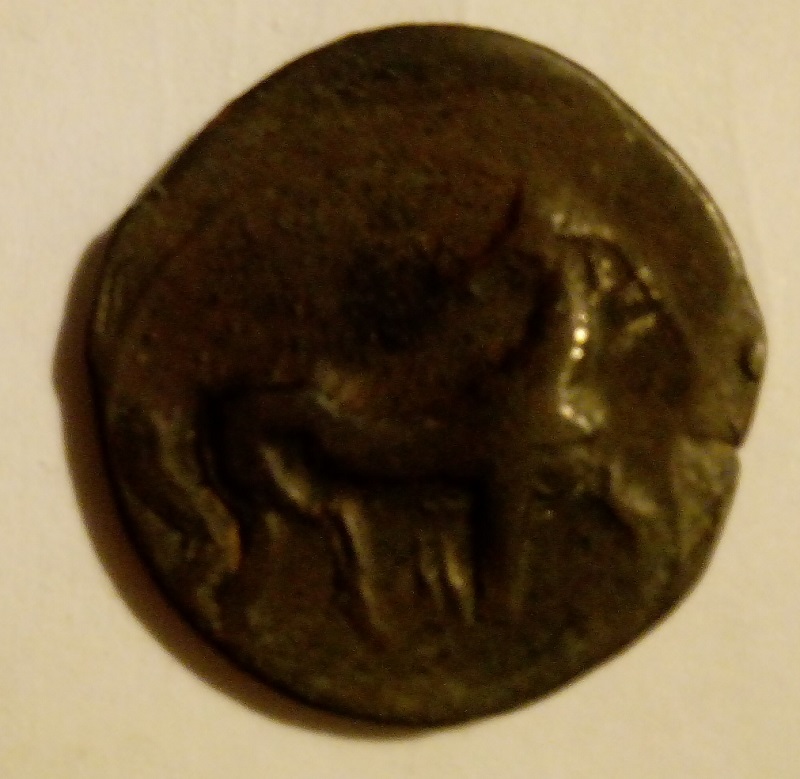 Yet-Another-Forum-Game---Numismatic-Go-Fish!