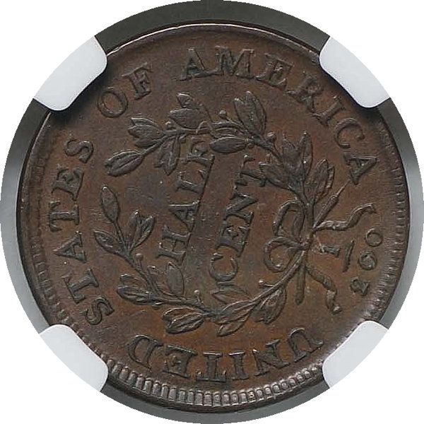 You-Vs.-NGC---1808-Half-Cent