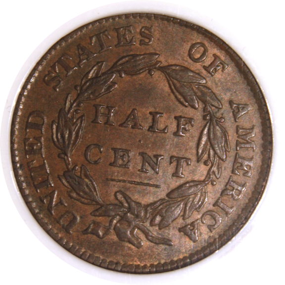 The-65-Days-Of-Half-And-Large-Cents!