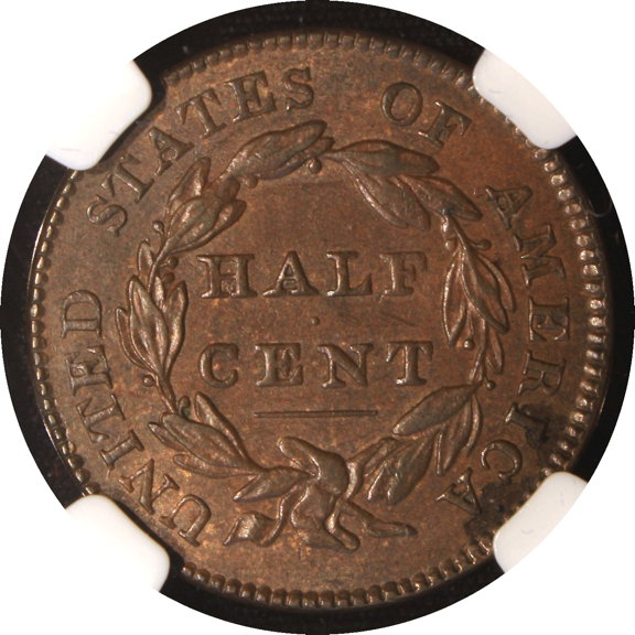 The-65-Days-Of-Half-And-Large-Cents!