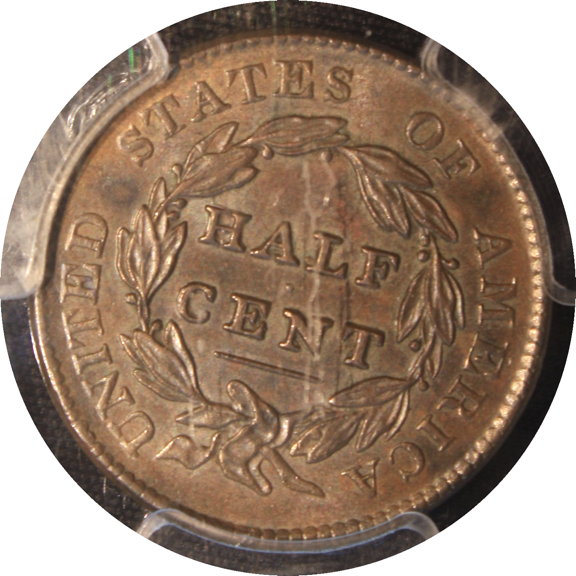 The-65-Days-Of-Half-And-Large-Cents!