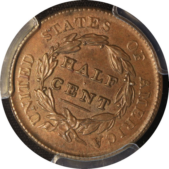 The-65-Days-Of-Half-And-Large-Cents!