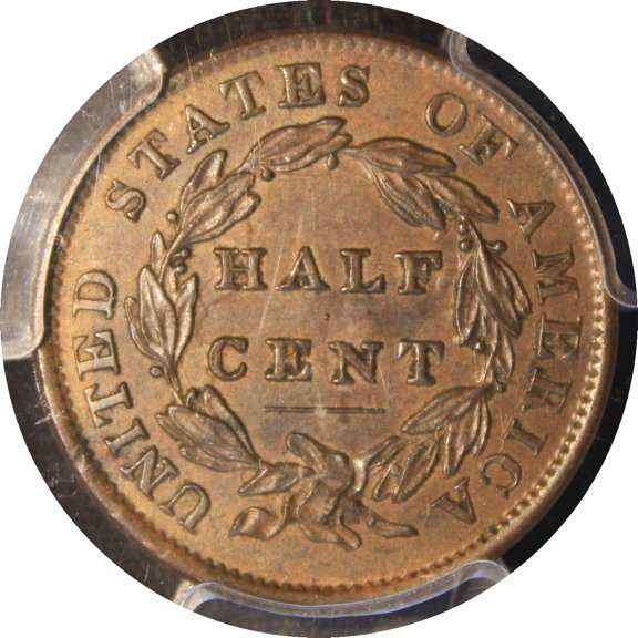 The-65-Days-Of-Half-And-Large-Cents!