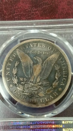 Continuing-List-To-Show-Everyones-Latest-Acquisitions