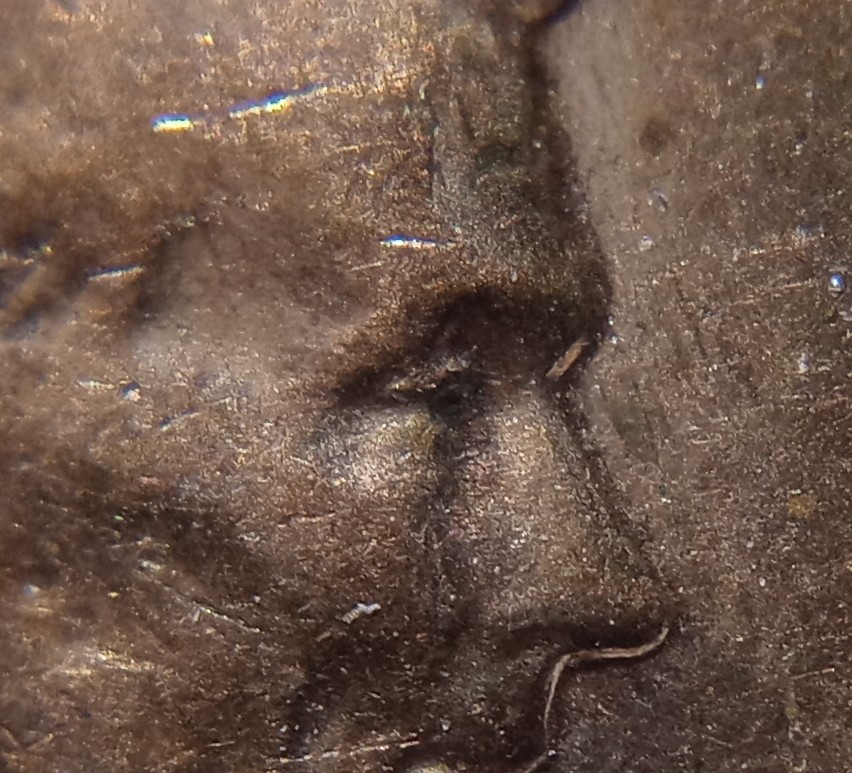 1960-D-Penny-Full-Bubbly-Doubly-Thoughts-Please-Eyebrow/L-Fullysplit-Aswell